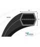 COURROIE HEXAGONALE DE TONDEUSE AA148 | Allocourroies.com