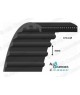 8M384-20 GT3 Courroie simple dentée renforcée GT3  | Allocourroies.com